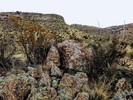 photo thumbnail #12