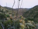 photo thumbnail #13