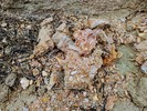 photo thumbnail #15