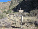 photo thumbnail #3