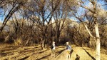 photo thumbnail #2