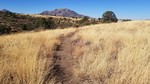 photo thumbnail #5