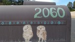 photo thumbnail #7