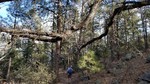 photo thumbnail #11