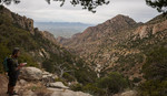 photo thumbnail #3