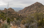 photo thumbnail #2