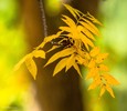 photo thumbnail #12