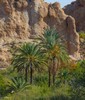 2017-11-24 :2: Boyce Thompson :: desertgirl