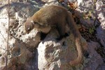 photo thumbnail #8