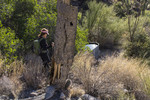 photo thumbnail #8