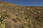 photo thumbnail #13