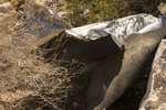 photo thumbnail #14