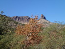 photo thumbnail #12