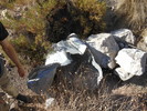 photo thumbnail #6