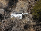 photo thumbnail #10