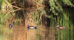 photo thumbnail #6