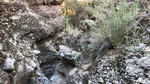 photo thumbnail #13