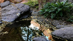 photo thumbnail #9
