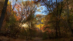photo thumbnail #1