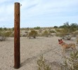 photo thumbnail #2