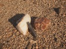 photo thumbnail #13