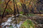 photo thumbnail #9