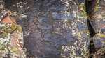 photo thumbnail #14