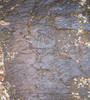 photo thumbnail #15