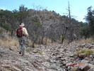 photo thumbnail #4