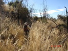 photo thumbnail #7