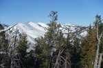 photo thumbnail #7