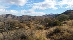 photo thumbnail #4