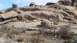 photo thumbnail #13