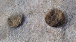 photo thumbnail #15
