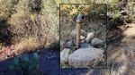 Featured Detail Photo
