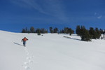 photo thumbnail #8
