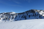 recent photo