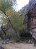 2017-12-14 :1: Dripping Springs Super Loop :: survivordude