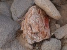 photo thumbnail #9
