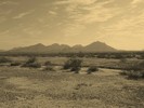 photo thumbnail #12