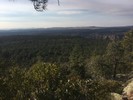 photo thumbnail #4