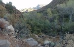 photo thumbnail #1