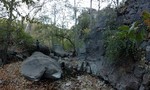 photo thumbnail #3