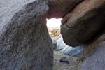 photo thumbnail #1