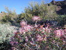 photo thumbnail #1