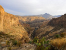 photo thumbnail #3