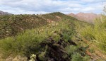 photo thumbnail #2