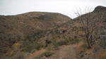 photo thumbnail #6