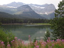 photo thumbnail #10