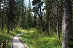photo thumbnail #7